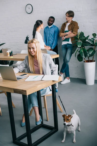 Sonriente mujer de negocios usando laptop y sosteniendo jack russell terrier en correa y compañeros de trabajo tener reunión detrás en la oficina moderna - foto de stock