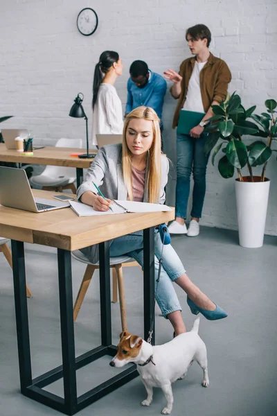 Smiling businesswoman writing inn textbook and holding jack russell terrier on leash and coworkers having meeting behind in modern office — Stock Photo