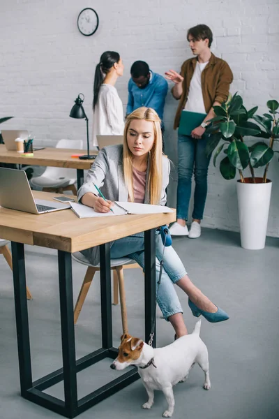 Sonriente mujer de negocios escribir libro de texto posada y la celebración de Jack Russell terrier con correa y compañeros de trabajo que se reúnen detrás en la oficina moderna — Stock Photo