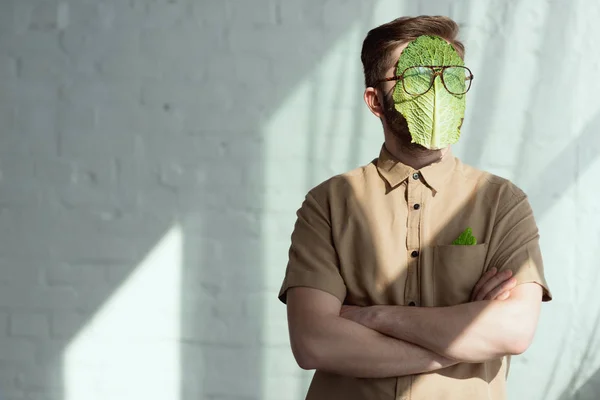 Obscured view of man with savoy cabbage leaf and eyeglasses on face, vegan lifestyle concept — Stock Photo