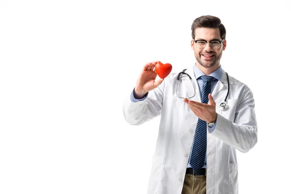 Médico sonriente vistiendo abrigo blanco con estetoscopio y sosteniendo el corazón de juguete aislado en blanco - foto de stock