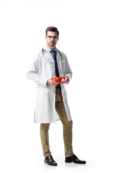 Young doctor wearing white coat with stethoscope and holding toy heart isolated on white — Stock Photo