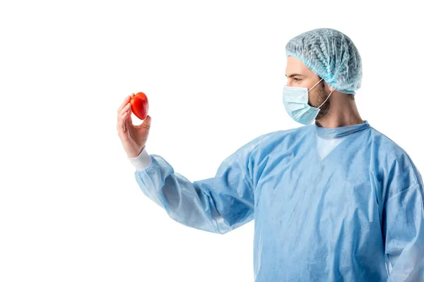 Cardiologista concentrado vestindo uniforme azul e segurando coração de brinquedo isolado em branco — Fotografia de Stock