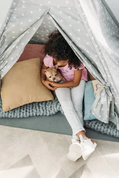 Vista aérea de pequeño niño afroamericano lindo con perro chihuahua en tipi en casa - foto de stock