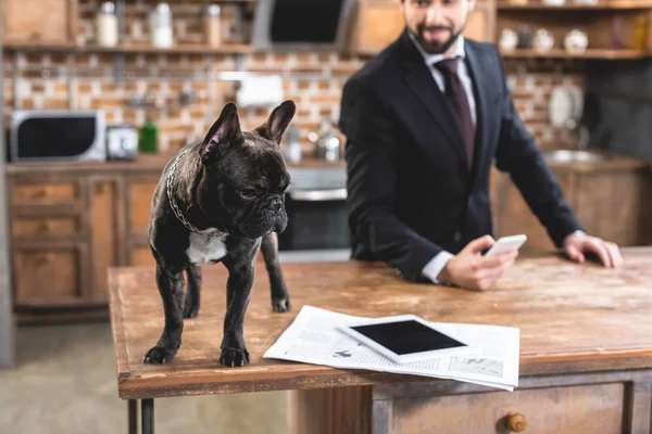 Loner businessman looking at bulldog on table at kitchen — Stock Photo