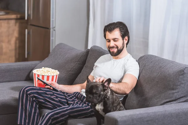 Feliz solitário palmada bulldog no sofá na sala de estar — Fotografia de Stock