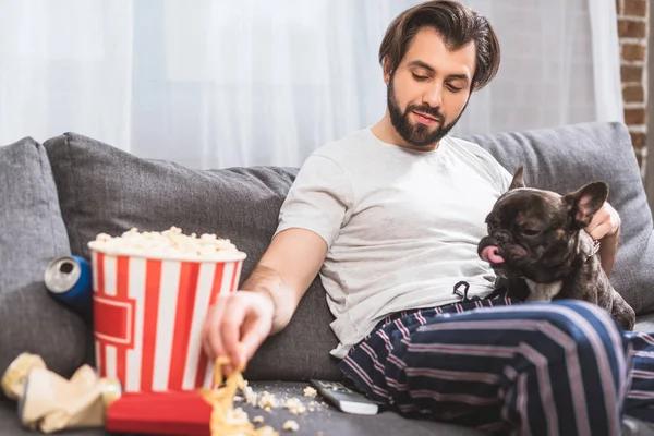 Guapo solitario palming bulldog y tomar papas fritas en sofá en sala de estar - foto de stock