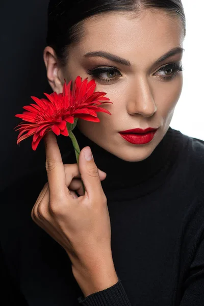 Hermosa mujer con labios rojos sosteniendo gerberas rojas aisladas en blanco y negro - foto de stock