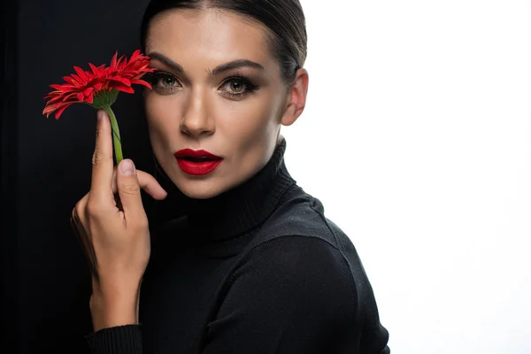 Schöne Frau mit roten Lippen hält rote Gerbera isoliert auf weiß und schwarz — Stockfoto