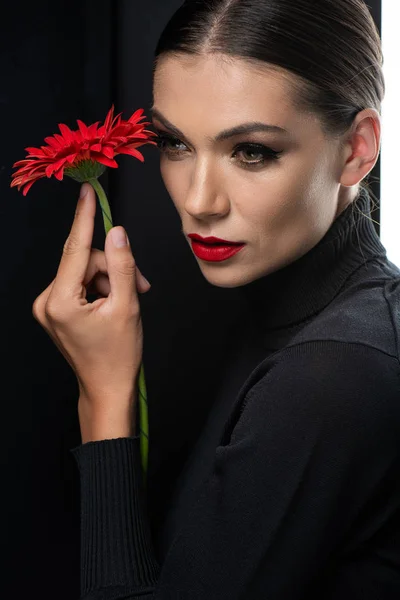 Schöne Frau mit roten Lippen hält rote Gerbera isoliert auf weiß und schwarz — Stockfoto