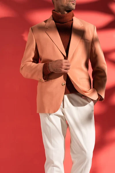 Cropped view of stylish man standing with hand in pocket on red with shadows — Stock Photo