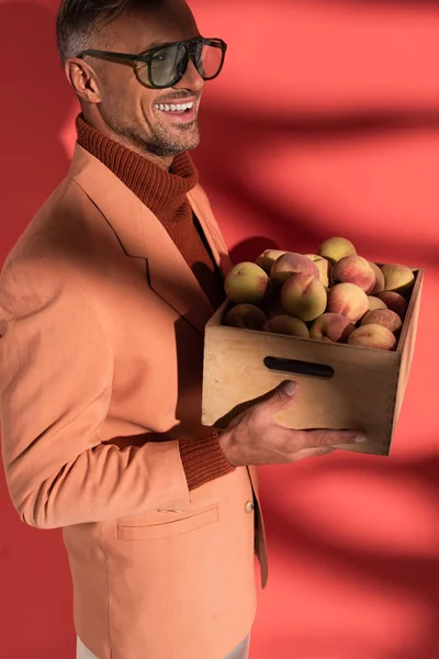 Hombre alegre en blazer y gafas de sol celebración caja con melocotones dulces en rojo con sombras - foto de stock