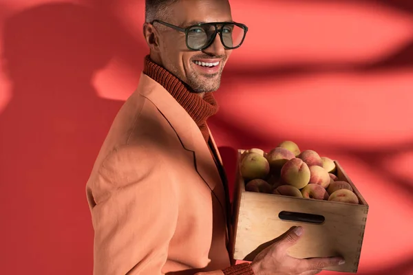 Smiling man in blazer and sunglasses holding box with sweet peaches on red with shadows — Stock Photo