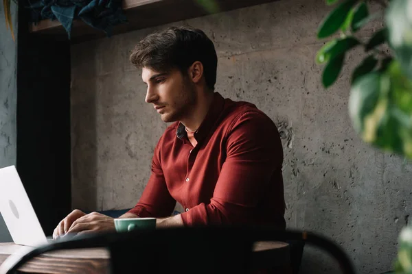 Young freelancer working on laptop in coffee shop — Stock Photo