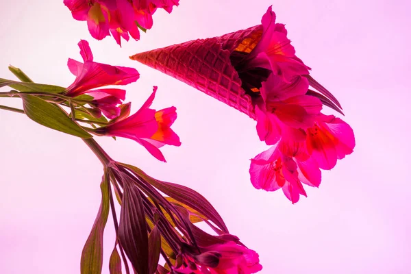 Flores en flor en cono de helado aislado en rosa - foto de stock