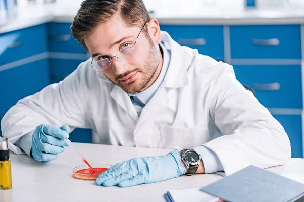 Bonito imunologista segurando pipeta com líquido vermelho no laboratório — Fotografia de Stock