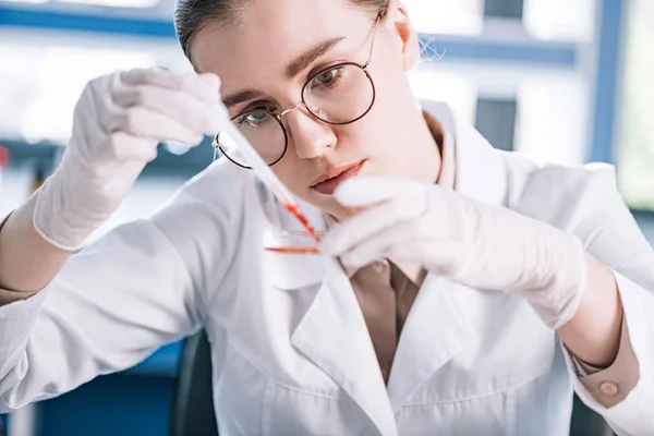 Selektiver Fokus attraktiver Immunologen, die Pipette mit roter Flüssigkeit im Labor halten — Stockfoto