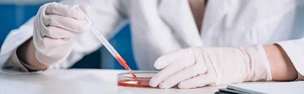 Panoramic shot of immunologist holding pipette with red liquid in laboratory — Stock Photo