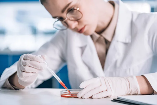 Selektiver Fokus attraktiver Immunologen in Brillen, die Pipette mit roter Flüssigkeit im Labor halten — Stockfoto