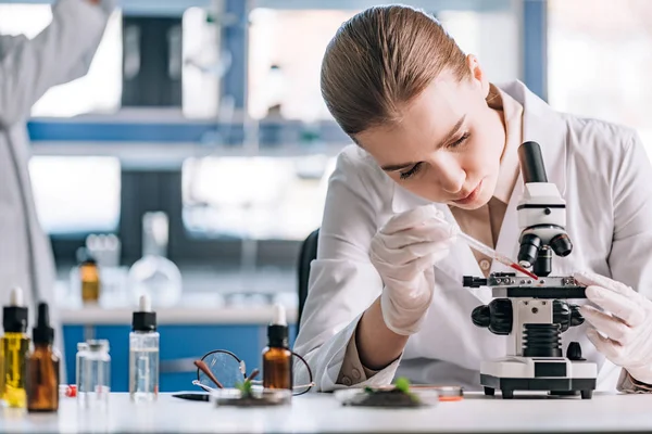 Selective focus of attractive immunologist in latex gloves adding sample under glass of microscope — Stock Photo