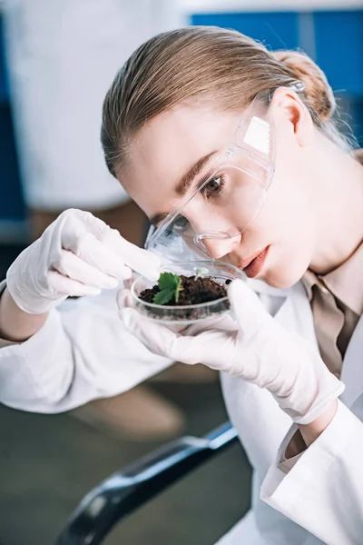 Attractive biochemist in goggles looking at green plant — Stock Photo