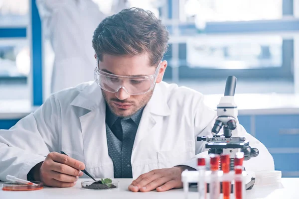 Selective focus of biochemist in goggles holding tweezers near green plant and test tubes — Stock Photo