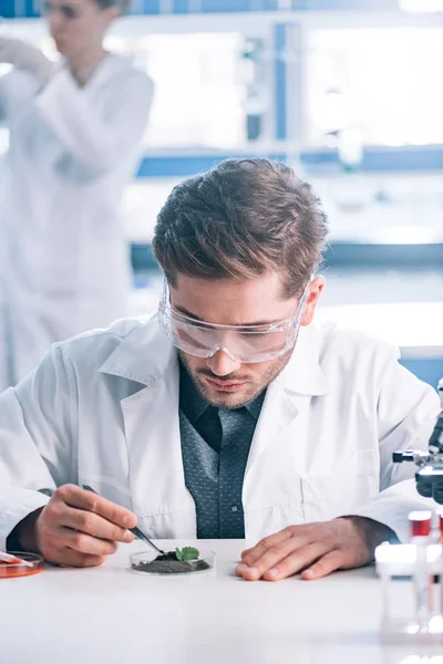 Selective focus of handsome biochemist in goggles holding tweezers near green plant — Stock Photo