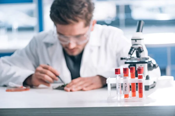 Enfoque selectivo de los tubos de ensayo cerca del microscopio y del bioquímico - foto de stock