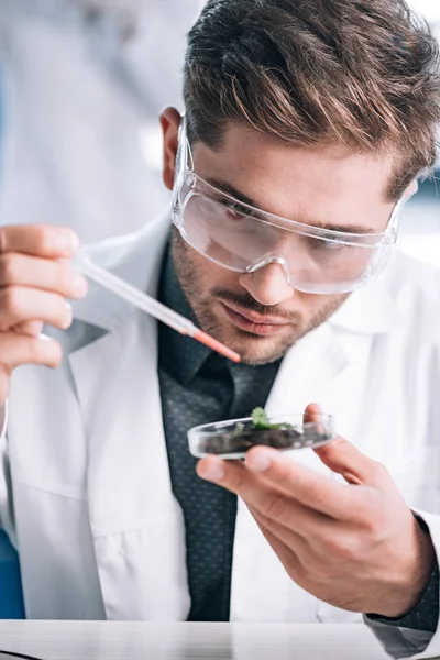 Selective focus of handsome bearded biochemist holding pipette near glass with plant and ground — Stock Photo