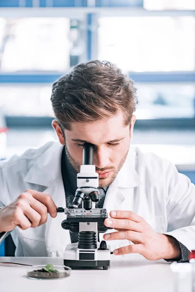 Enfoque selectivo del bioquímico barbudo en la capa blanca mirando a través del microscopio en el laboratorio - foto de stock