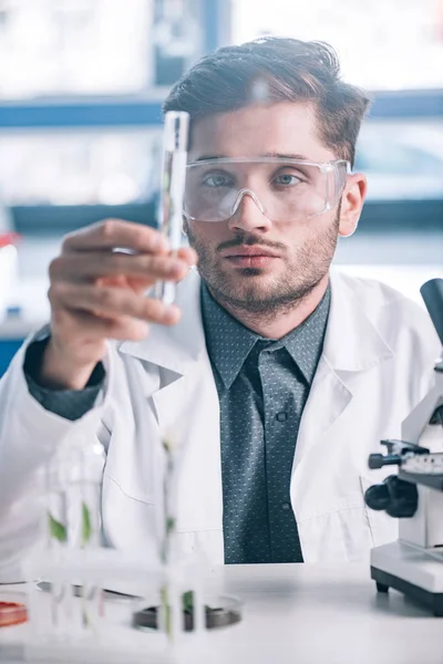 Selective focus of handsome biochemist in goggles holding glass test tube — Stock Photo