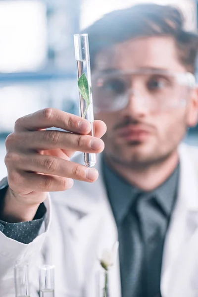 Selective focus of handsome biochemist in goggles holding glass test tube with green plant — Stock Photo