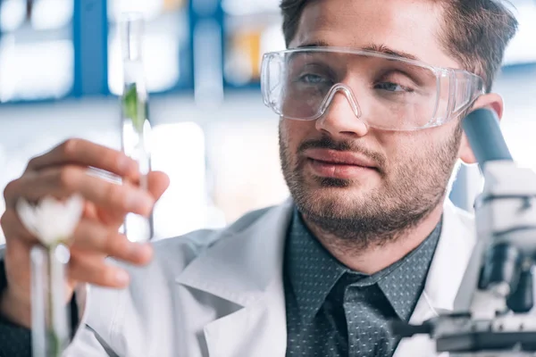 Selective focus of handsome biochemist looking a test tube with green plant — Stock Photo