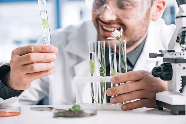 Selective focus of happy biochemist looking a test tube with green plant near microscope — Stock Photo