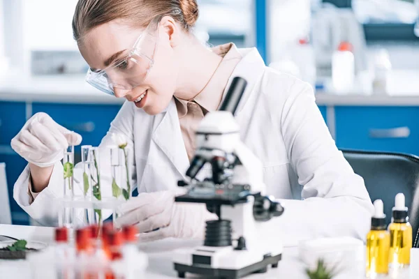 Selective focus of happy biochemist in goggles looking a test tubes with green plants near microscope — Stock Photo