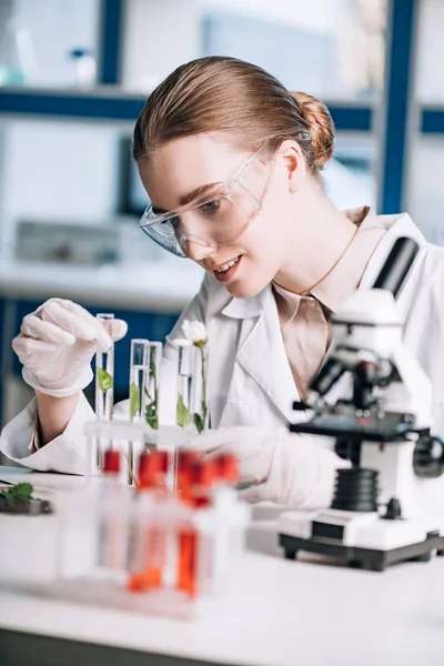 Selective focus of cheerful biochemist in goggles looking a test tubes with green plants near microscope — Stock Photo