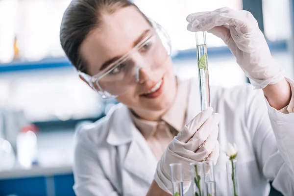 Selective focus of cheerful biochemist in goggles holding test tube with small green plant — Stock Photo