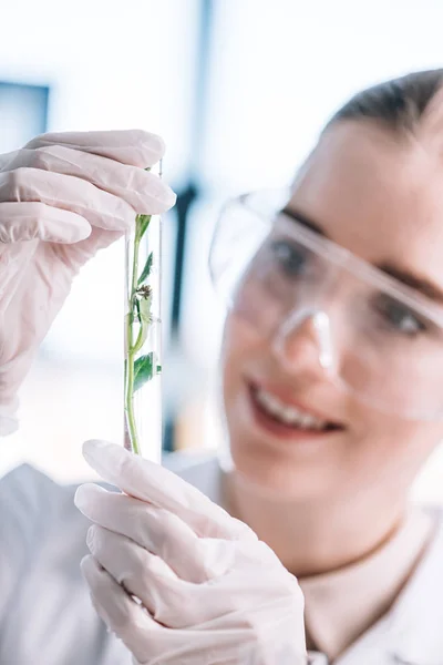 Selective focus of cheerful woman in goggles holding test tube with small green plant — Stock Photo