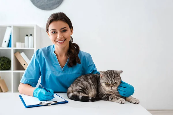 Joven veterinario sonriendo en cámara mientras escribe en portapapeles cerca tabby escocés recta gato - foto de stock