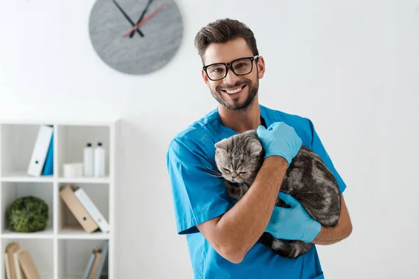 Handsome veterinarian smiling at camera while holding tabby scottish straight cat on hands — Stock Photo