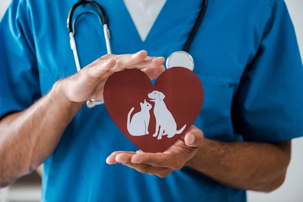Vista parziale del veterinario mostrando il cuore tagliato su carta con simboli di cane e gatto, colpo panoramico — Foto stock