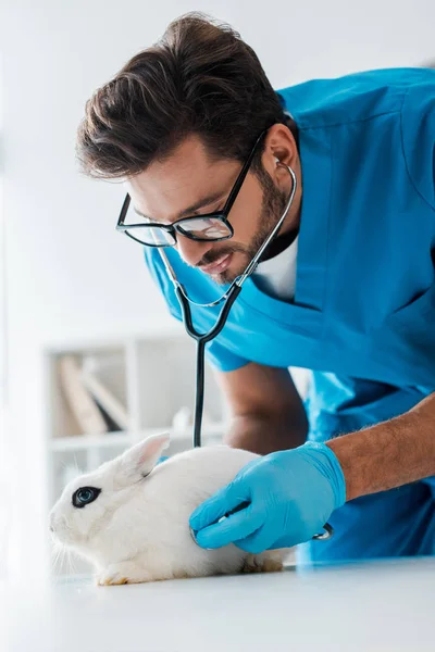 Attentive veterinarian examining cute white rabbit with stethoscope — Stock Photo