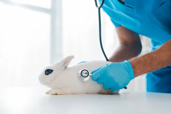 Vista recortada de veterinario examinando lindo conejo blanco con estetoscopio - foto de stock