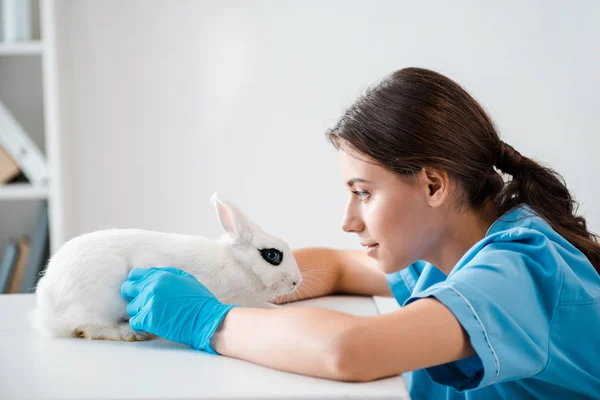 Seitenansicht des aufmerksamen, positiven Tierarztes, der das niedliche weiße Kaninchen auf dem Tisch untersucht — Stockfoto