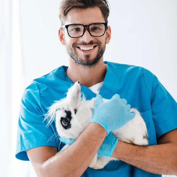 Vétérinaire joyeux souriant à la caméra tout en tenant mignon lapin noir et blanc sur les mains — Photo de stock