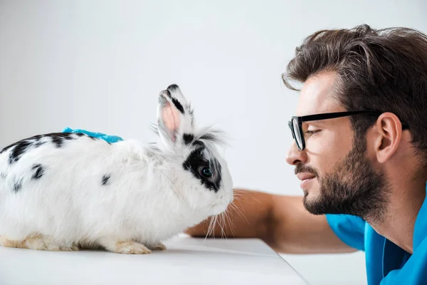 Side view of young, positive veterinarian looking at cute fluffy rabbit — Stock Photo