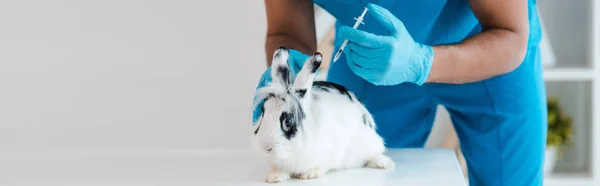 Visão cortada de veterinário fazendo vacinação de coelho manchado bonito, tiro panorâmico — Fotografia de Stock