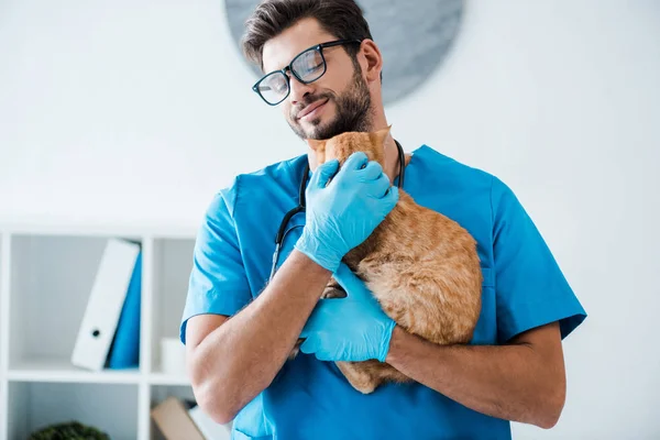 Jovem, sorrindo veterinário segurando bonito gato vermelho em mãos — Fotografia de Stock