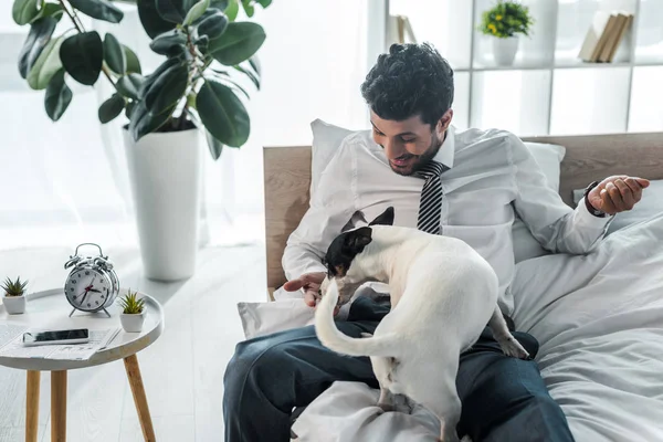 Sonriente empresario bi-racial alimentando a Jack Russell Terrier por la mañana en casa — Stock Photo