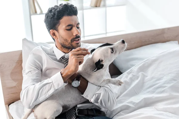 Zweirassiger Geschäftsmann sieht Jack Russell Terrier morgens zu Hause an — Stockfoto